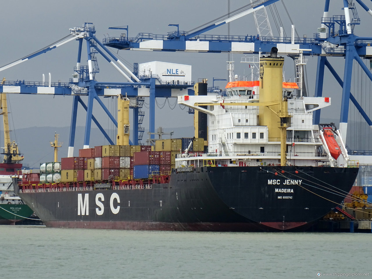 MSC Jenny II