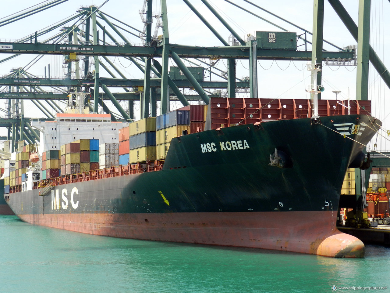 MSC Korea