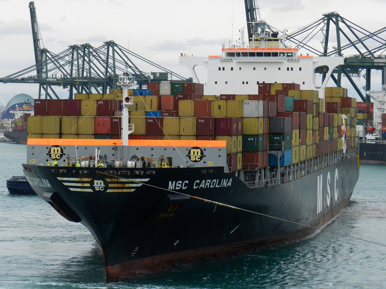 MSC Carolina