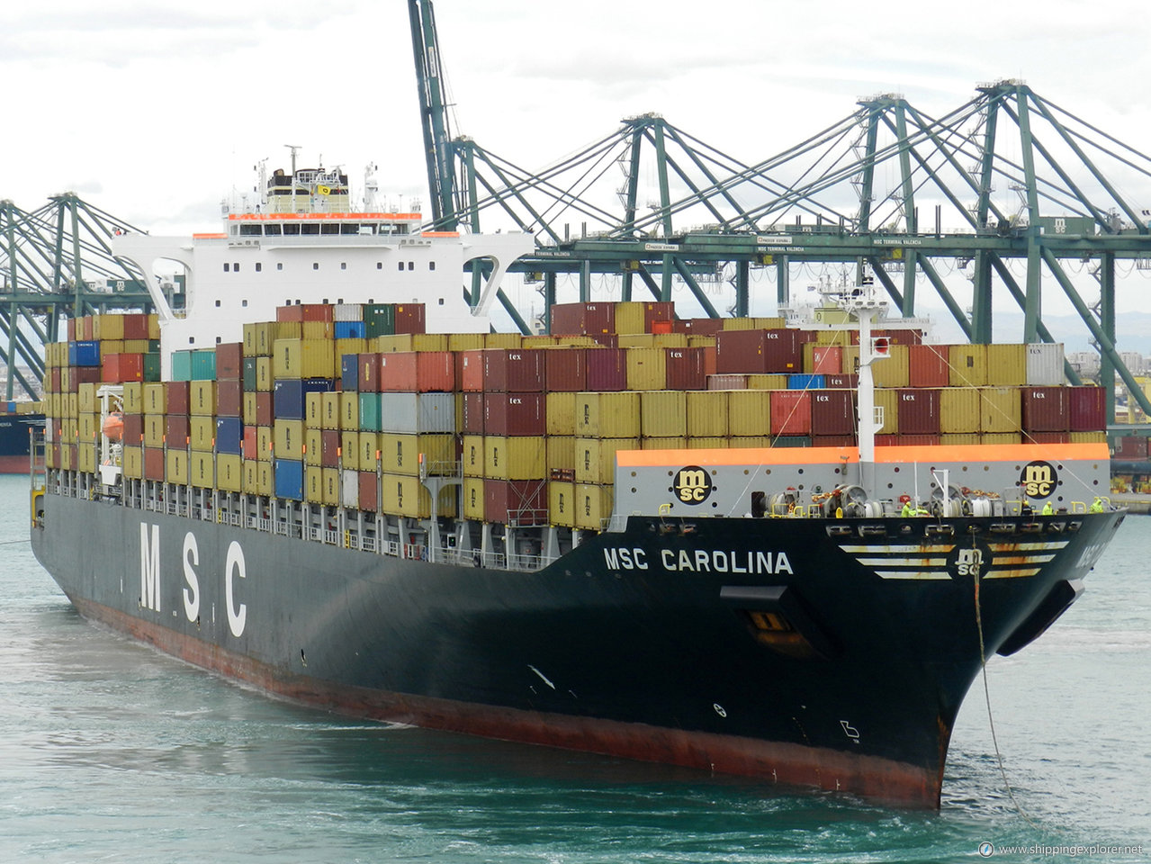 MSC Carolina