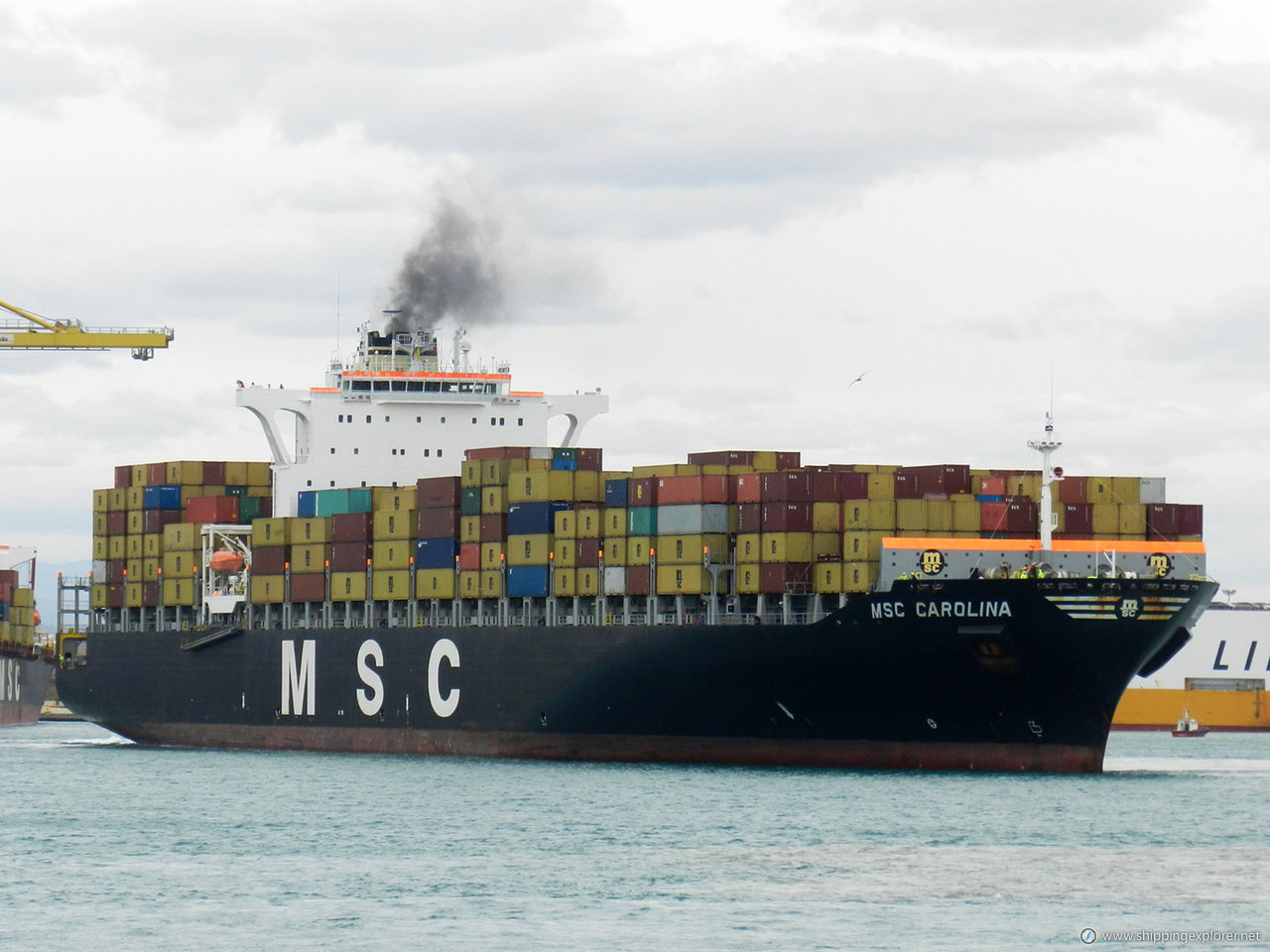 MSC Carolina