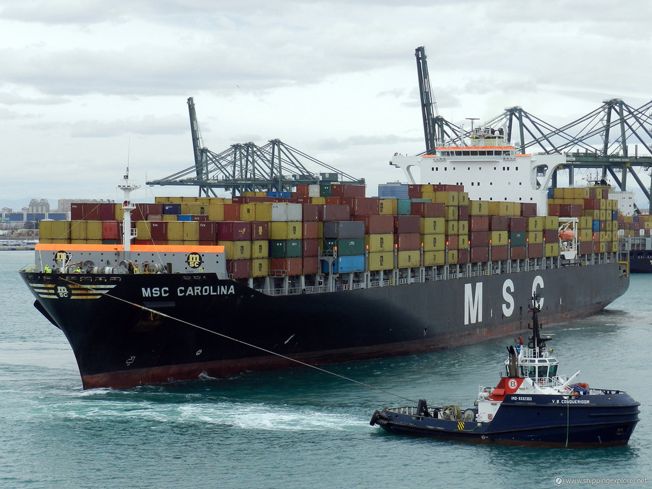 MSC Carolina