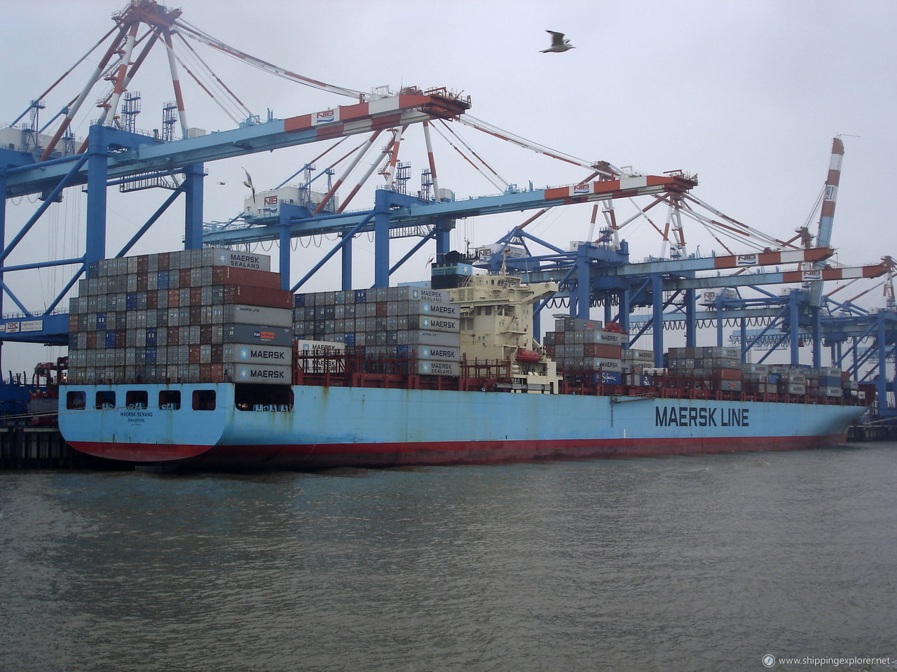 Maersk Senang