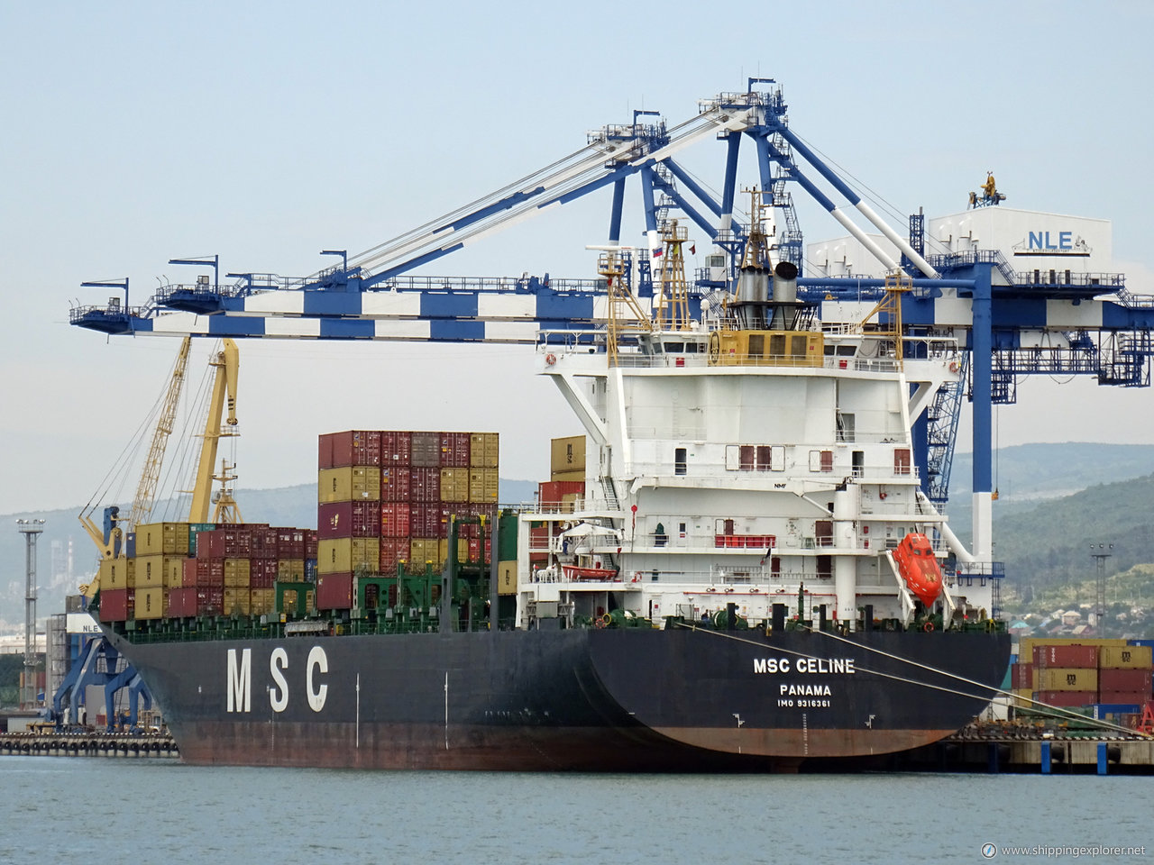 MSC Celine