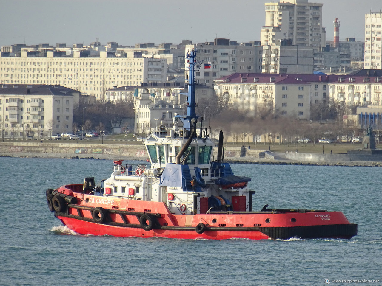 Sd Seahorse