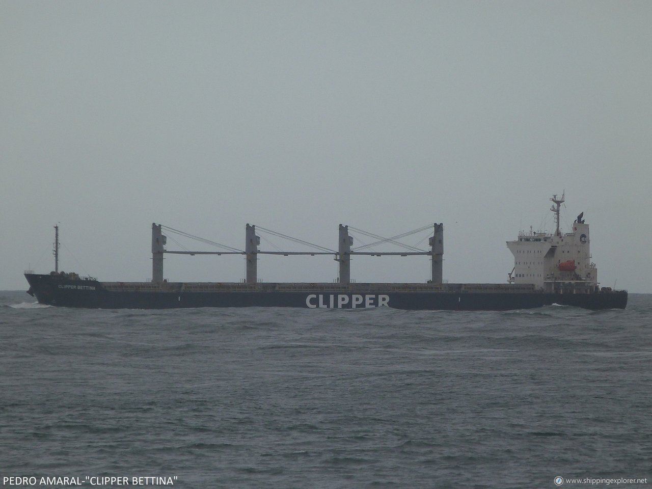 Clipper Bettina