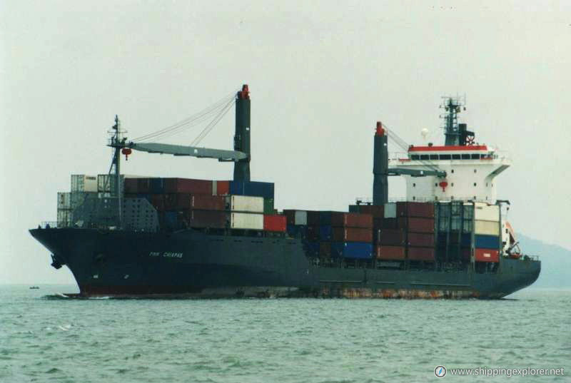 MSC Qingdao F