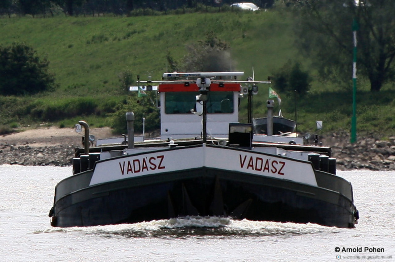 Vadasz