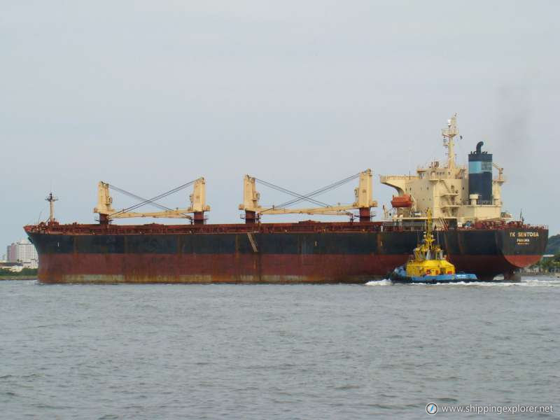 Mp Panamax 5