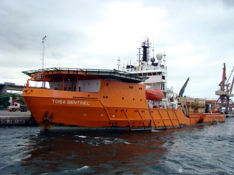 Dsv Whale