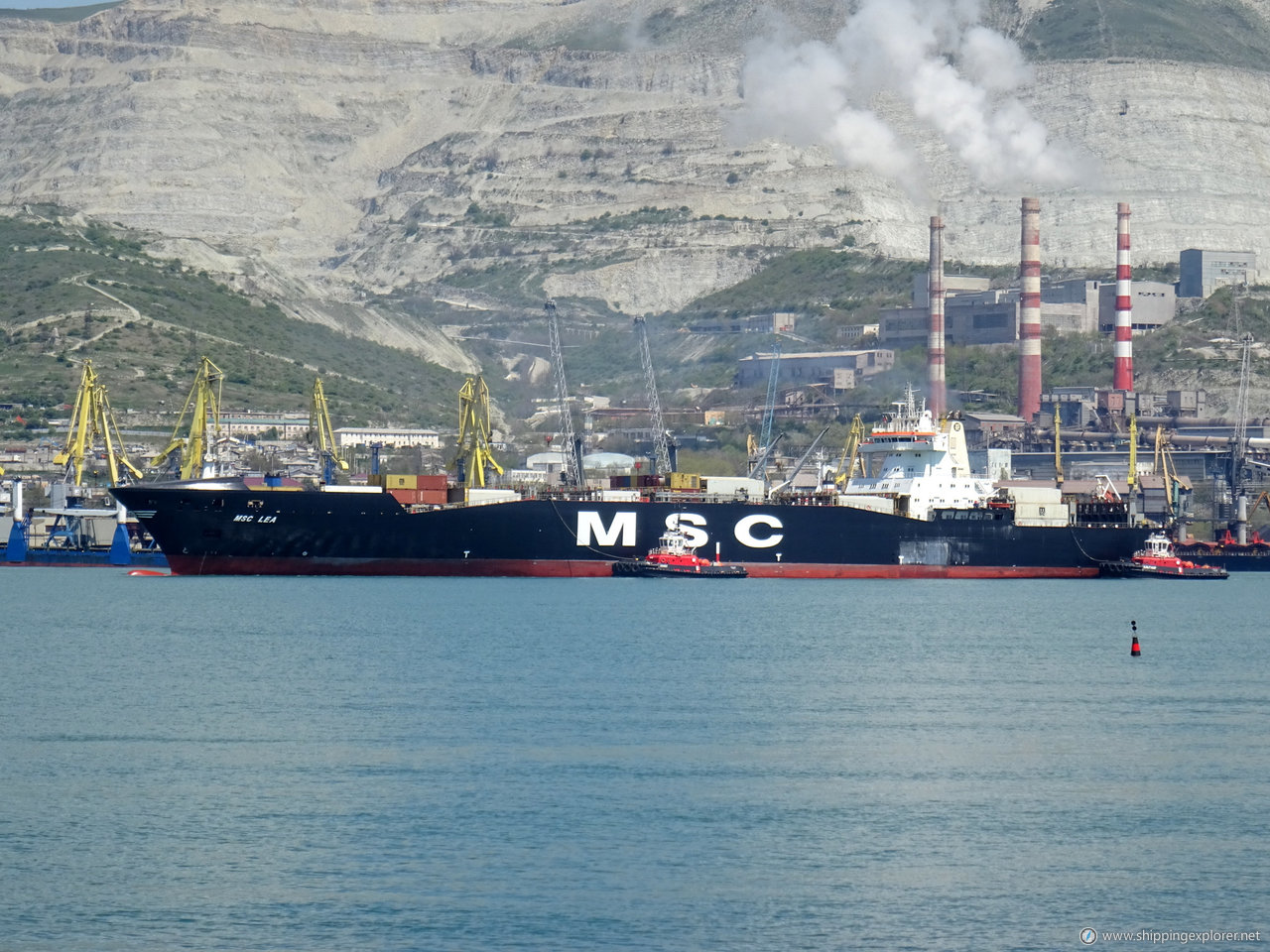 MSC Lea II