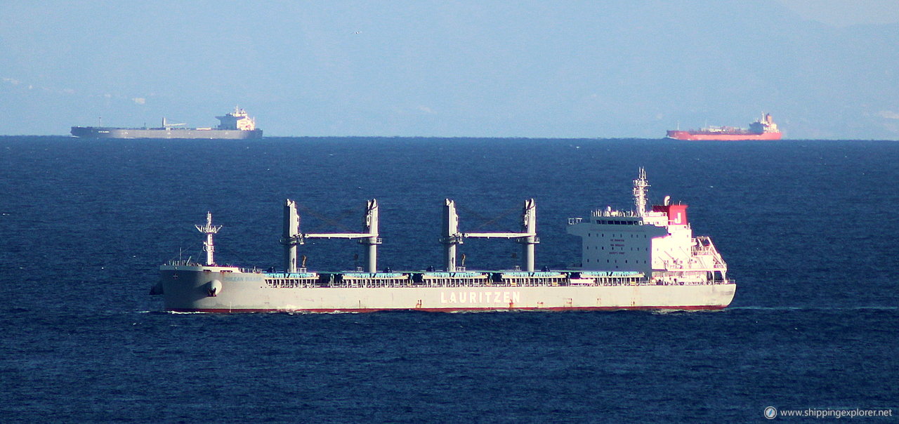 Chilean Bulker