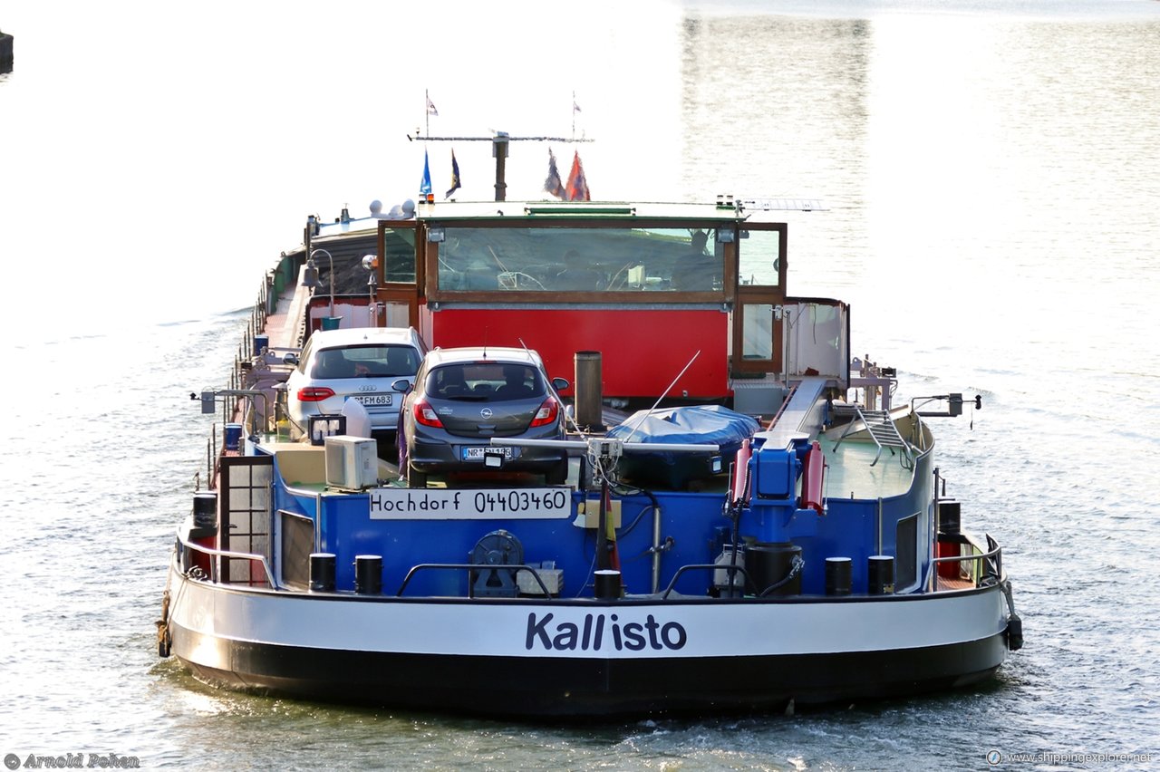 Kallisto