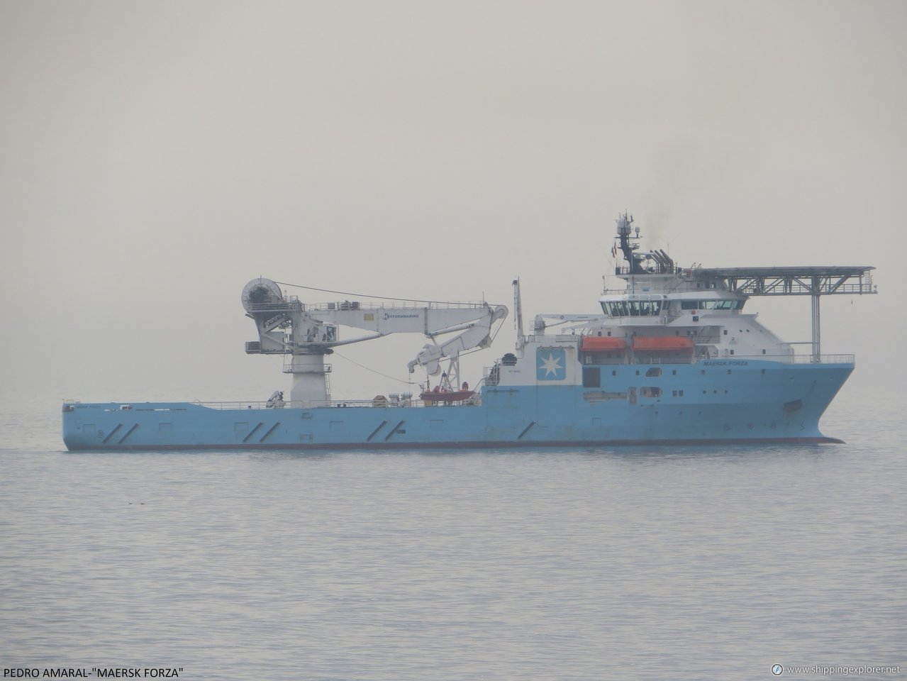 Maersk Forza