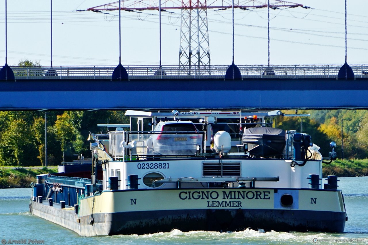 Cigno Minore