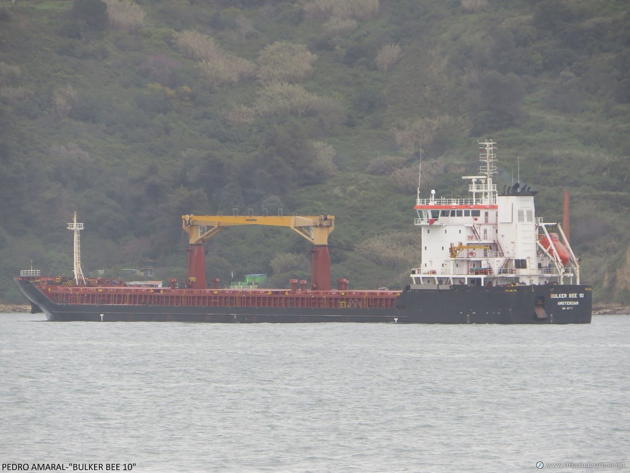 Bulker Bee 10