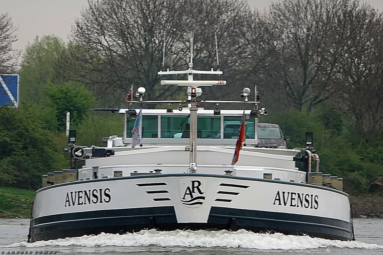 Avensis