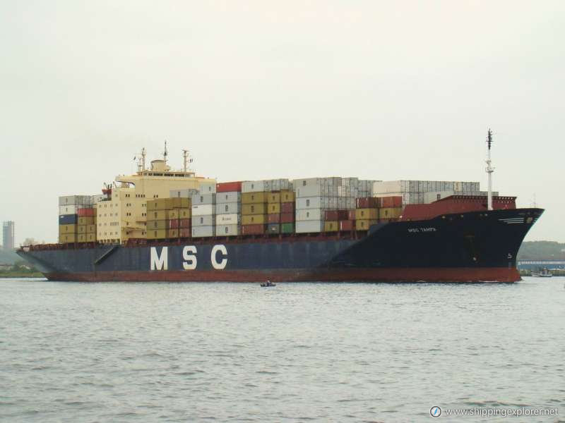 Msc Tampa