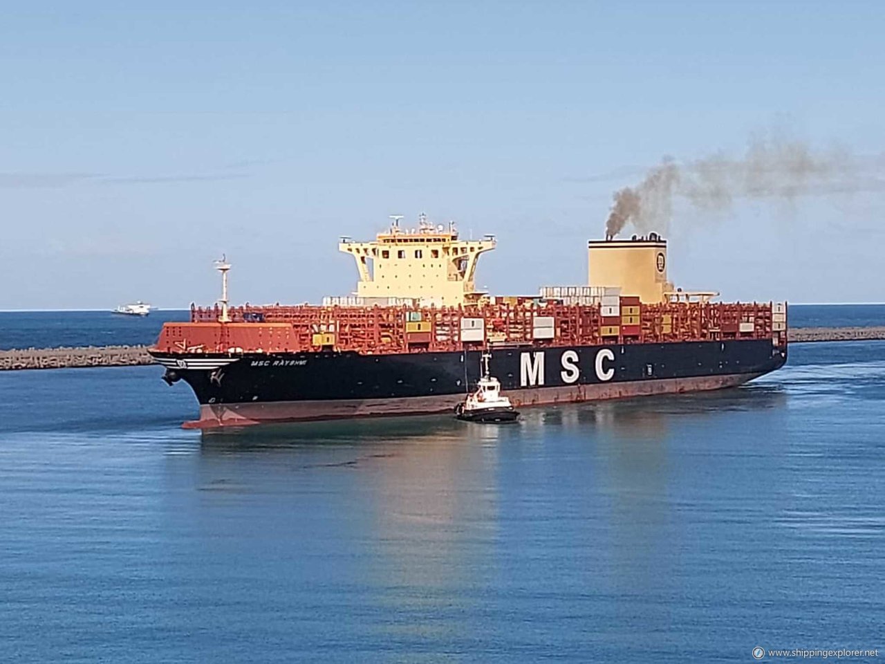 MSC Rayshmi