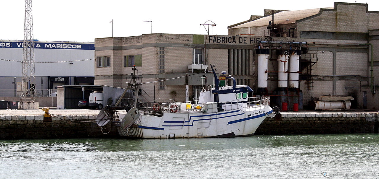 Ciudad Del Puerto