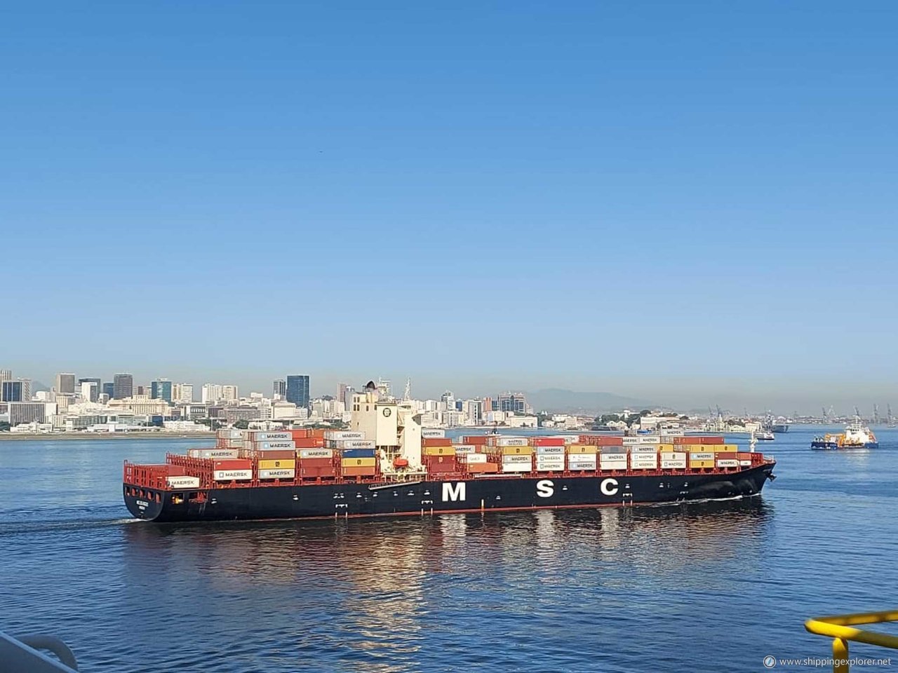 Msc Los Angeles