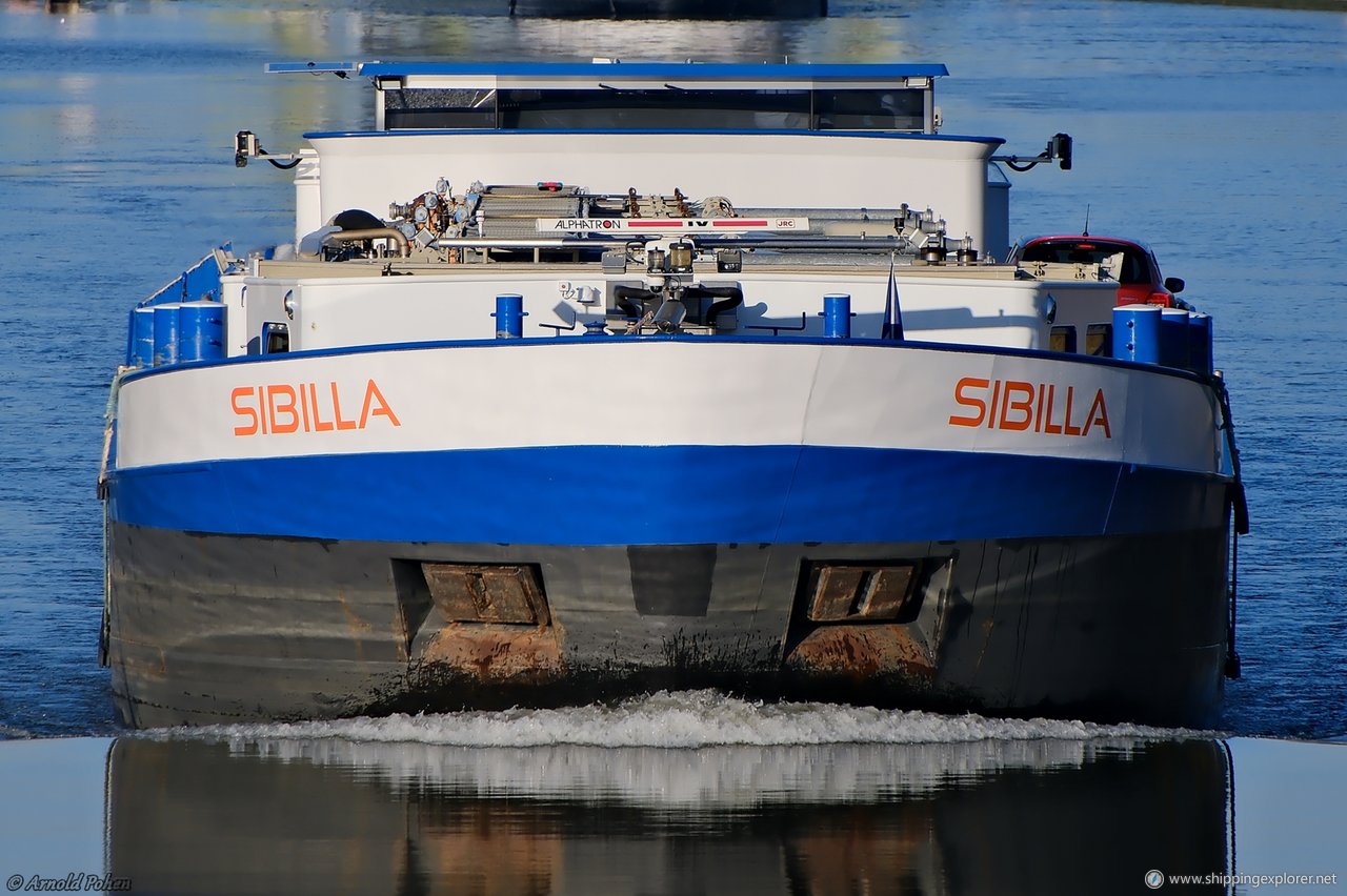 Sibilla