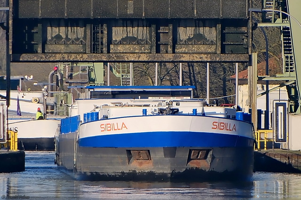 Sibilla