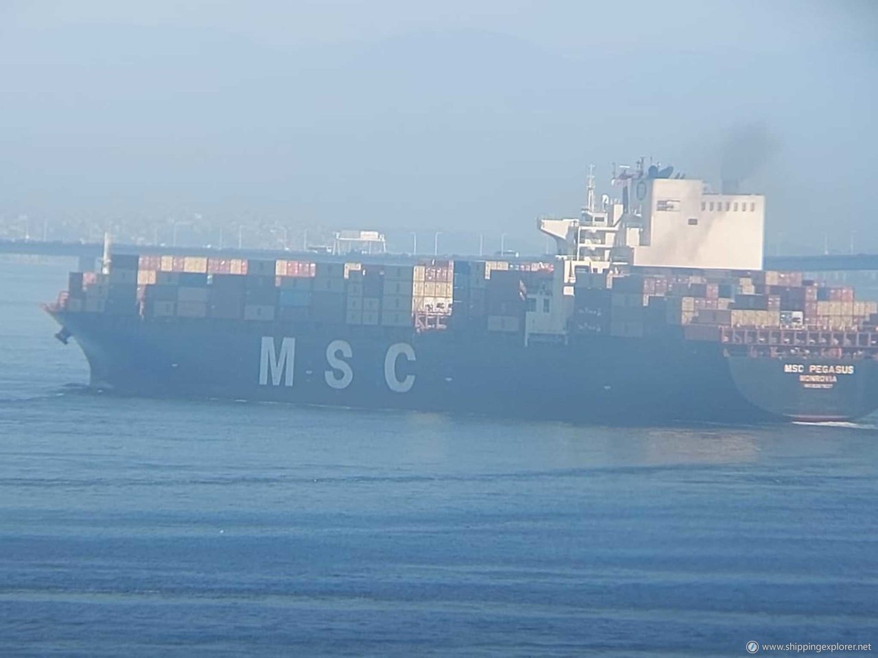 MSC Pegasus VII