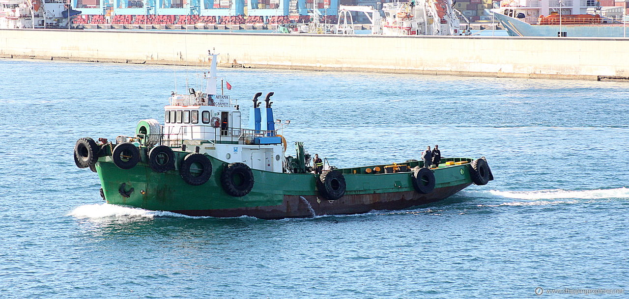 Aitana Del Carmen