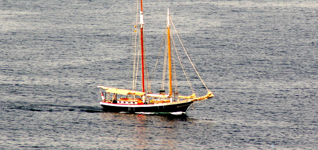 Flower Of Caithness