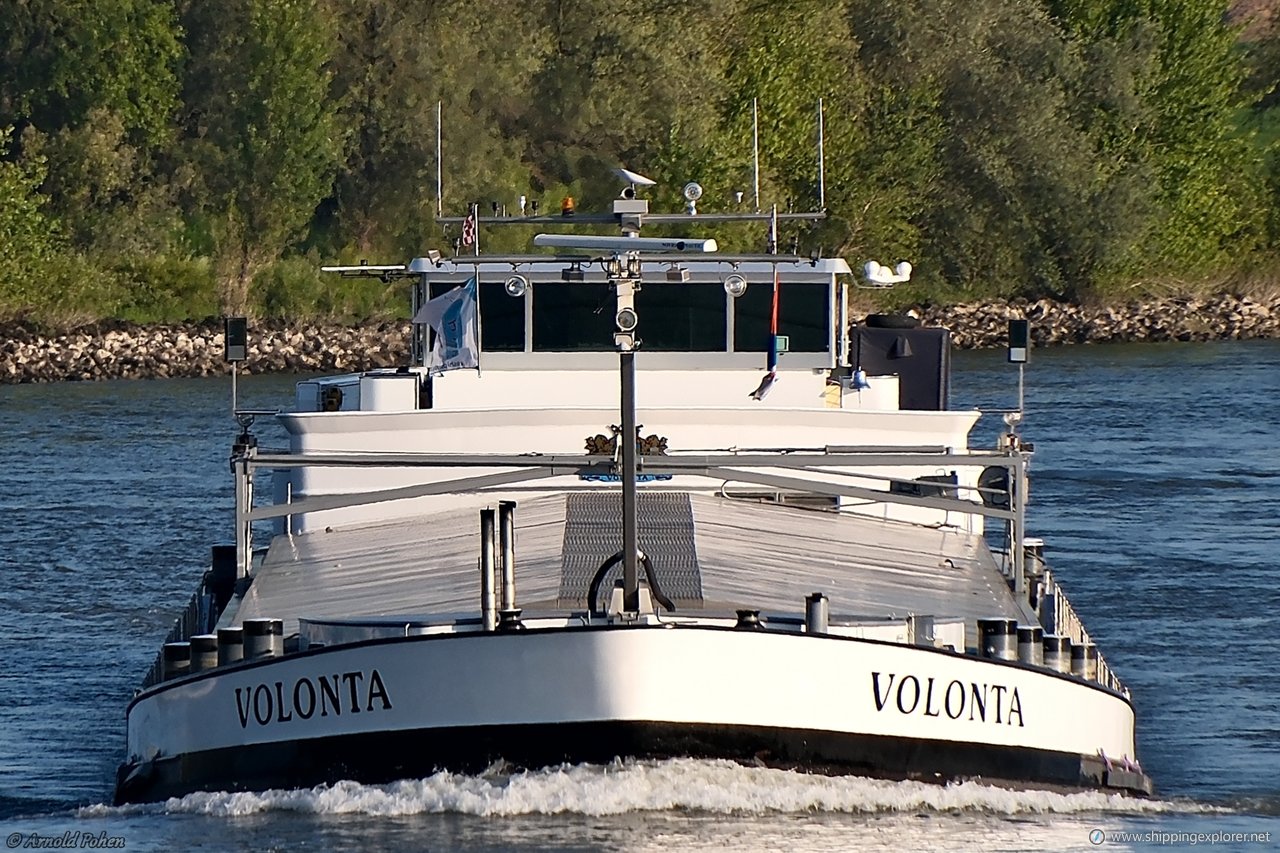 Volonta