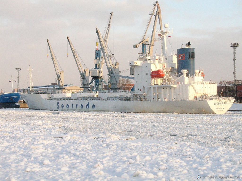 Baltic Pilgrim