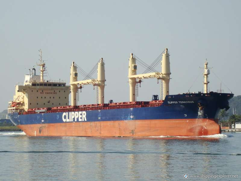 Clipper Tenacious