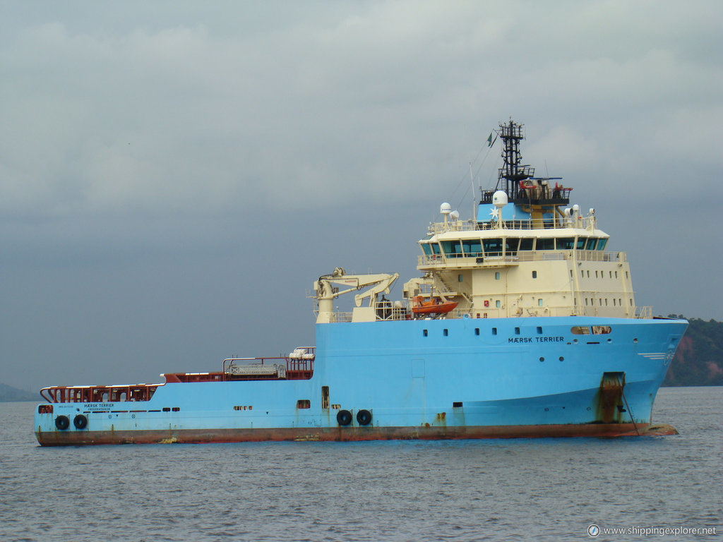 Maersk Terrier