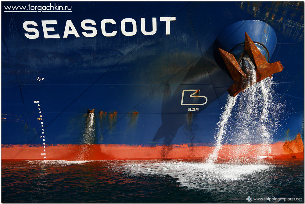 Seascout