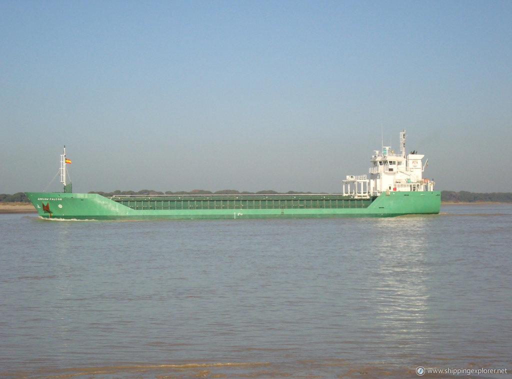 Arklow Falcon