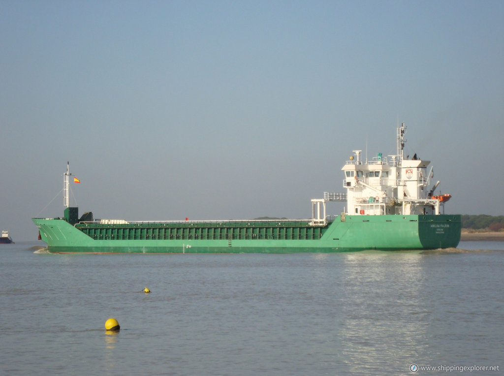 Arklow Falcon