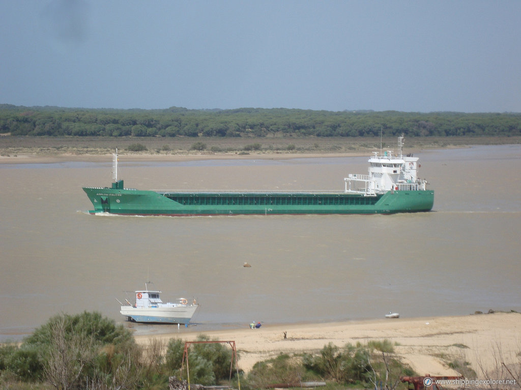 Arklow Falcon