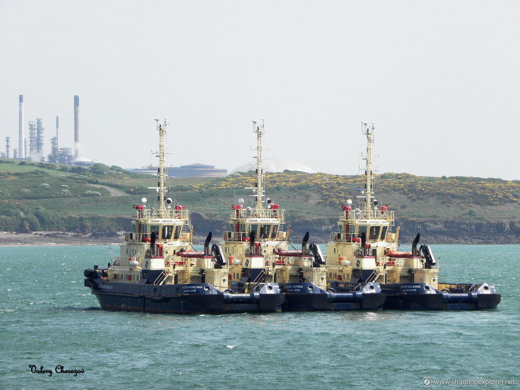 Svitzer Musselwick