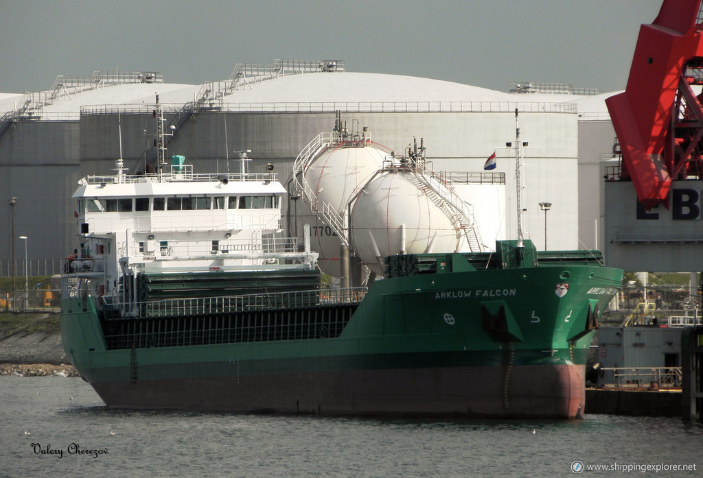 Arklow Falcon