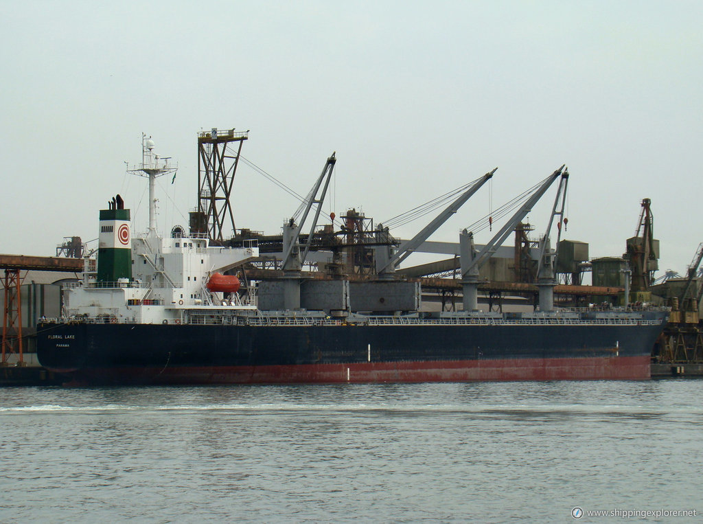 MV Tanto Subur 1