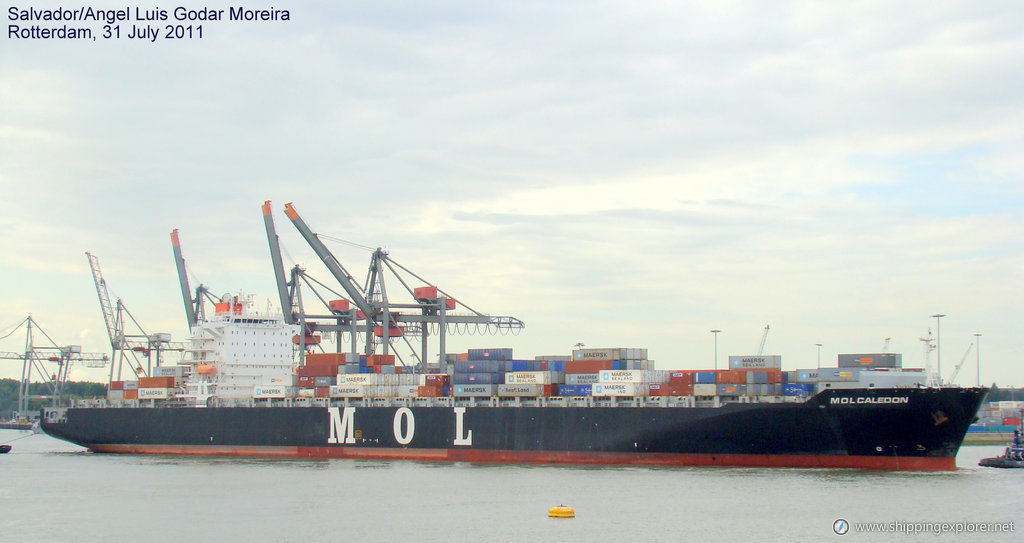 MSC Mirella R