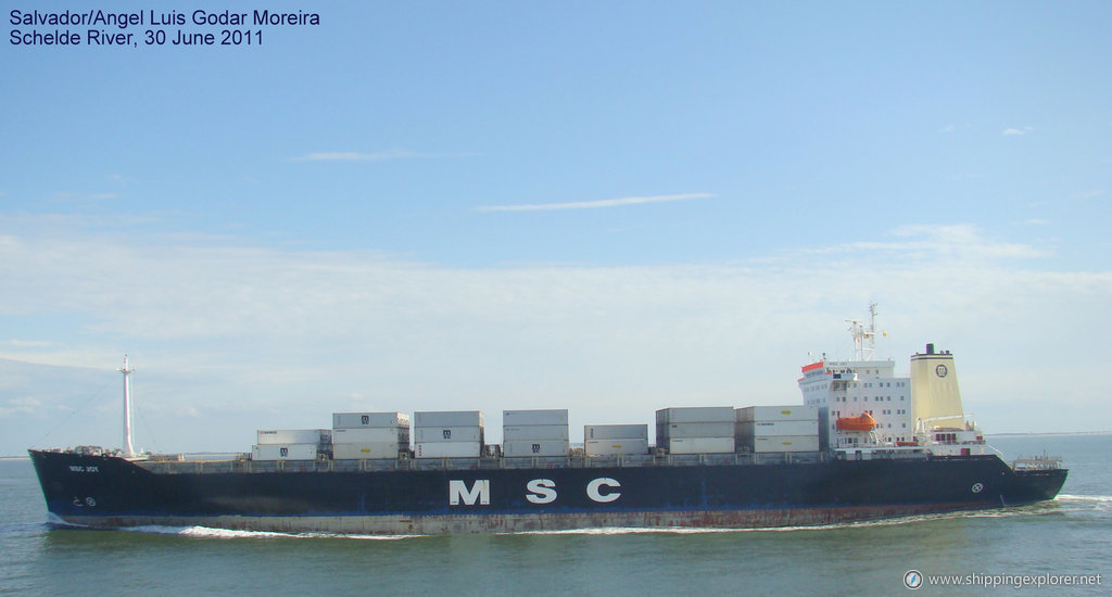 MSC Joy