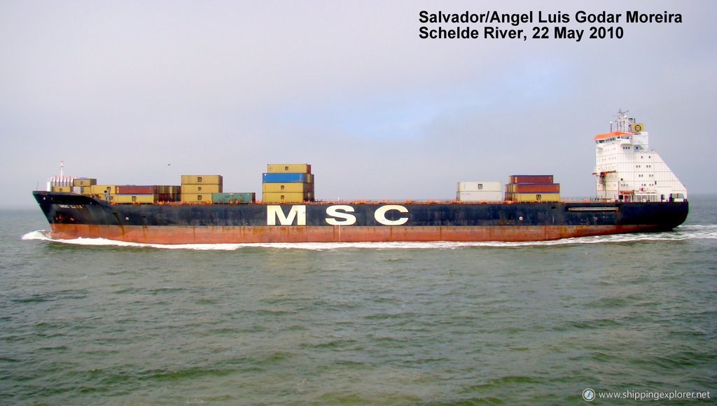 MSC Lara II