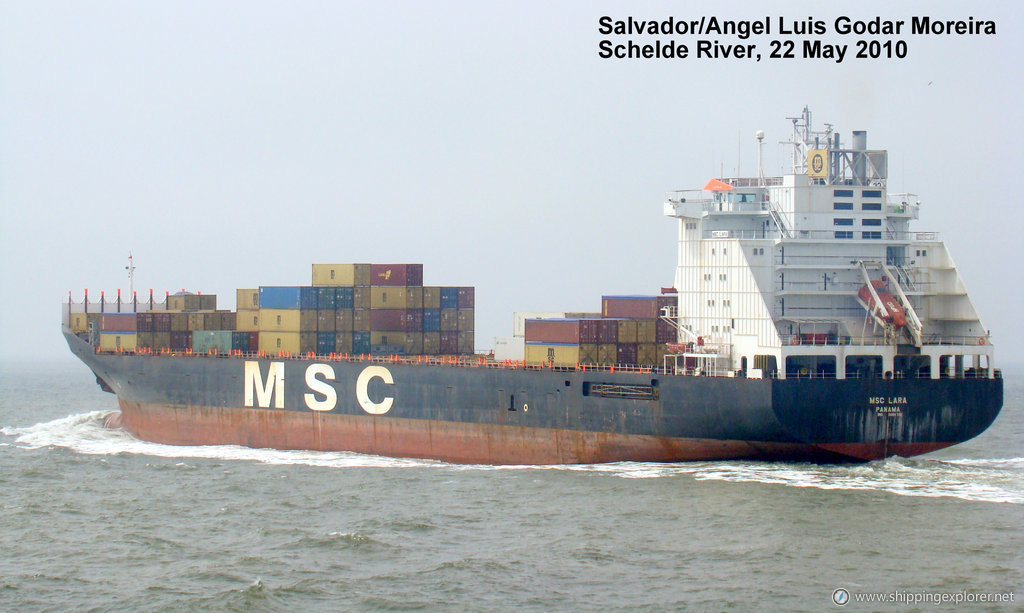 MSC Lara II