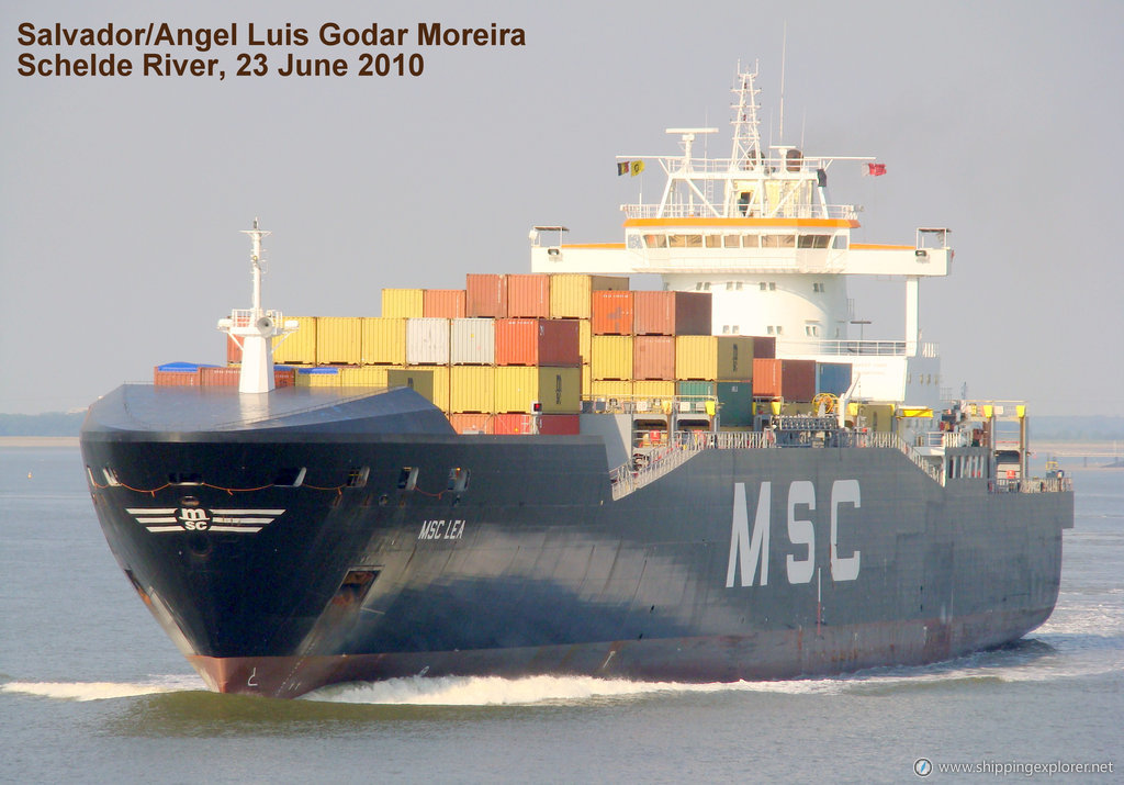 MSC Lea II