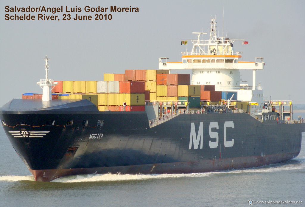 MSC Lea II