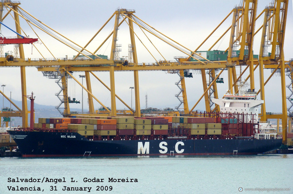 MSC Nilgun