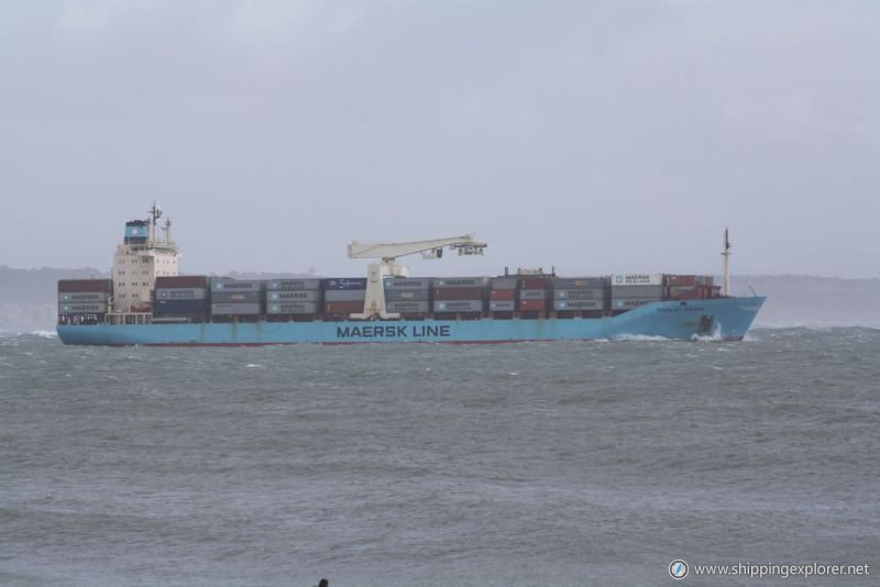 Tinglev Maersk