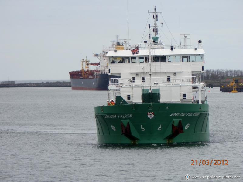 Arklow Falcon